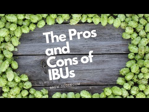 The Pros & Cons of IBUs In Modern Beer Recipes - Brew Dudes