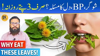 Download lagu Dandelion Ke Patte Khane Ke Fayde | Dandelion Leaves Benefits | Dr. Ibrahim mp3