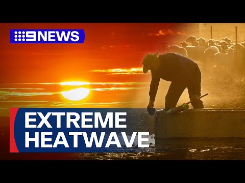 Victoria hits record-breaking temperatures across the state | 9 News Australia
