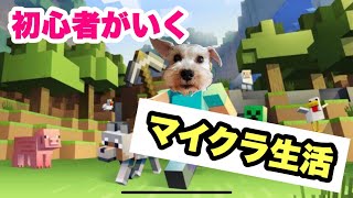 #Minecraft  初心者マイクラ生活　vol2