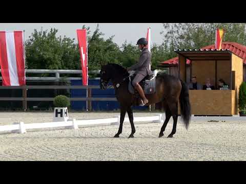 Dressage Test (2 nd part) – European Championship Working Equitation – Obořiště (CZE) 19. 9. 2024