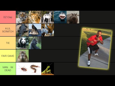Animals I Could Beat In a Fight Tier List