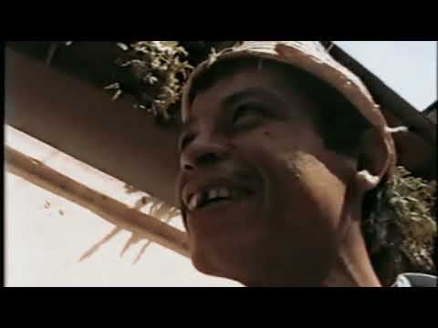 Los Parranderos del Campo - El Descachalandrado (Official Video)