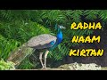5 राधा नाम कीर्तन Radha Naam Kirtan Shri Hit Radha Kripa LOFI