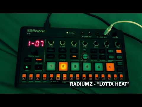 My First Hour With The Roland P-6 Sampler (lofi beat)