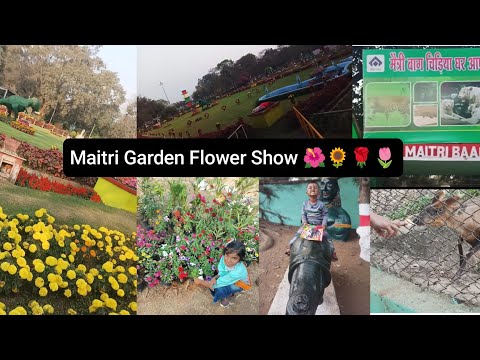 Maitri Garden Flower Show 2025 || Part 1 || Aham Shah Vlog
