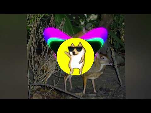 TIM x KOZAKPOLV - MYSZOJELEN [ bass boosted ]