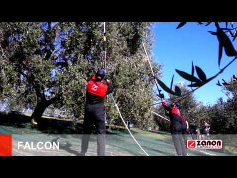 Zanon Falcon 12V/AL-300 Τηλεσκοπικό Ελαιοραβδιστικό Μπαταρίας 10
