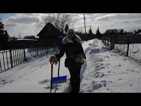 Март для садовода и огородника: дачные работы