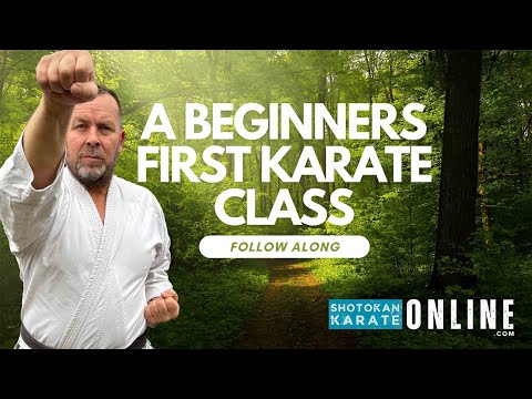 Karate Moves For Beginners. Shotokan Karate Follow Along Class