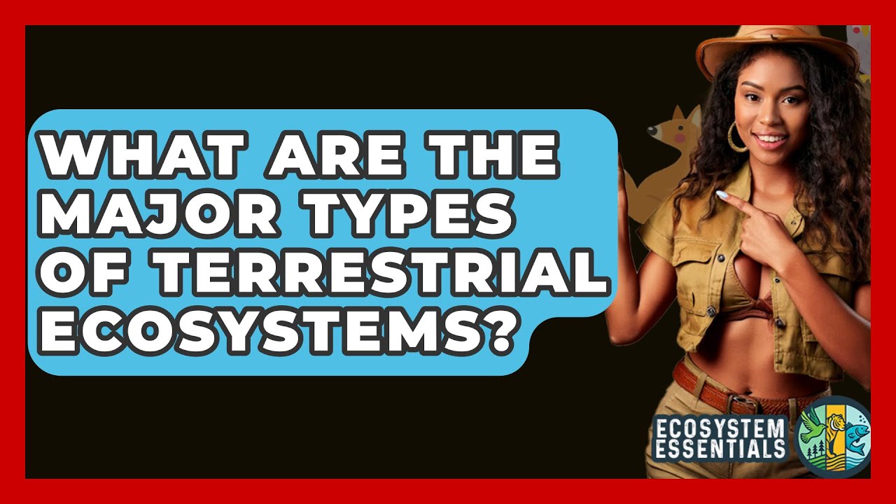 What Are The Major Types Of Terrestrial Ecosystems? - Ecosystem Essentials