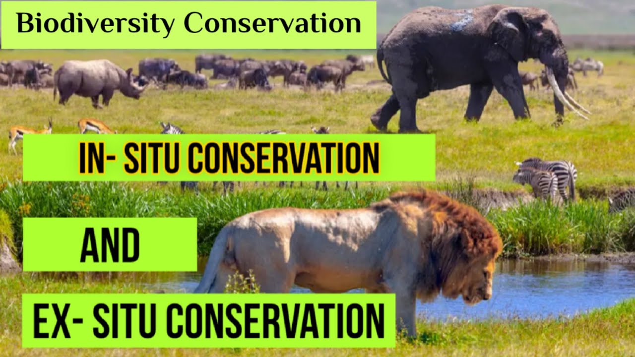 biodiversity conservation | ex situ and in situ conservation | 2021 hindi