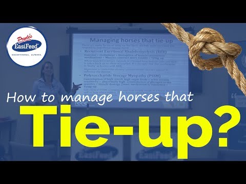 YouTube video about: What is tying up in horses?