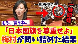 【国会激震】梅村みずほ議員が国旗損壊罪の反対派を正論で一蹴！議場を揺るがした“魂の討論”に日本中が大反響【参政党】