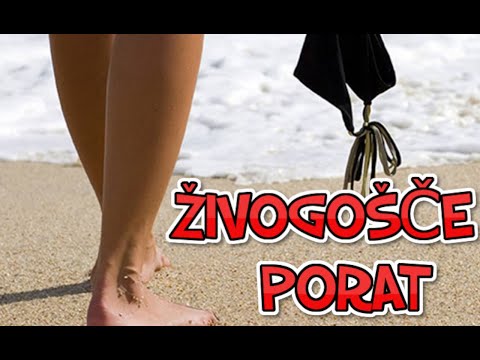 Walk Živogošće Porat Croatia