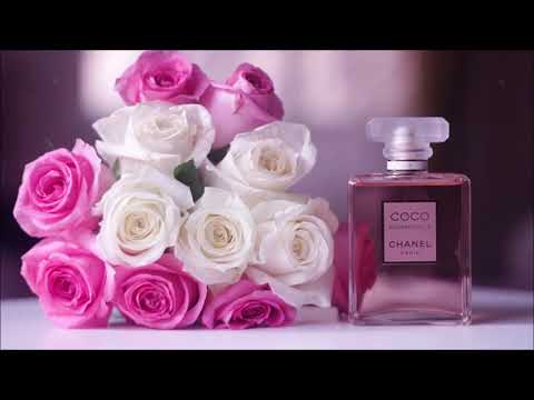 Funky Disco House By Cole 2019 (CHANEL)