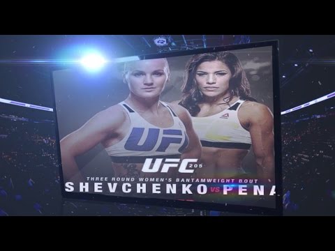 UFC on Fox 23  Shevchenko vs Pena   Jan 28th, 2017 Fight Preview
