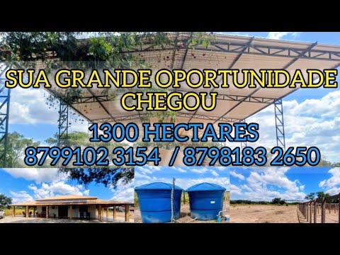 Vendo essa maravilha de propriedade 1300 hectares grande oportunidade 8799102 3154  / 8798183 2650 