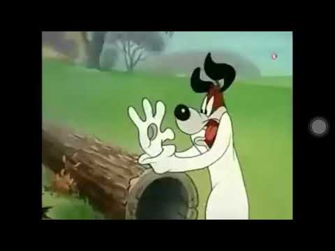 Droopy and the fox