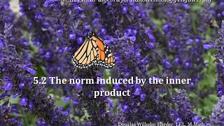 5 2 The norm induced by an inner product