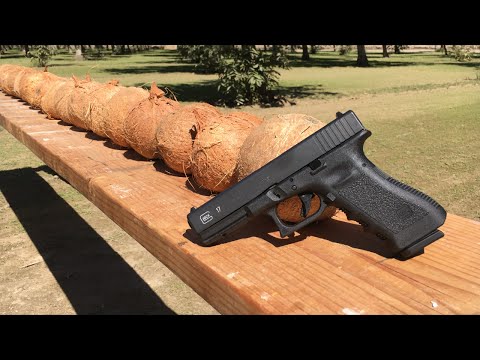 How many coconuts do you think can stop a fired bullet?