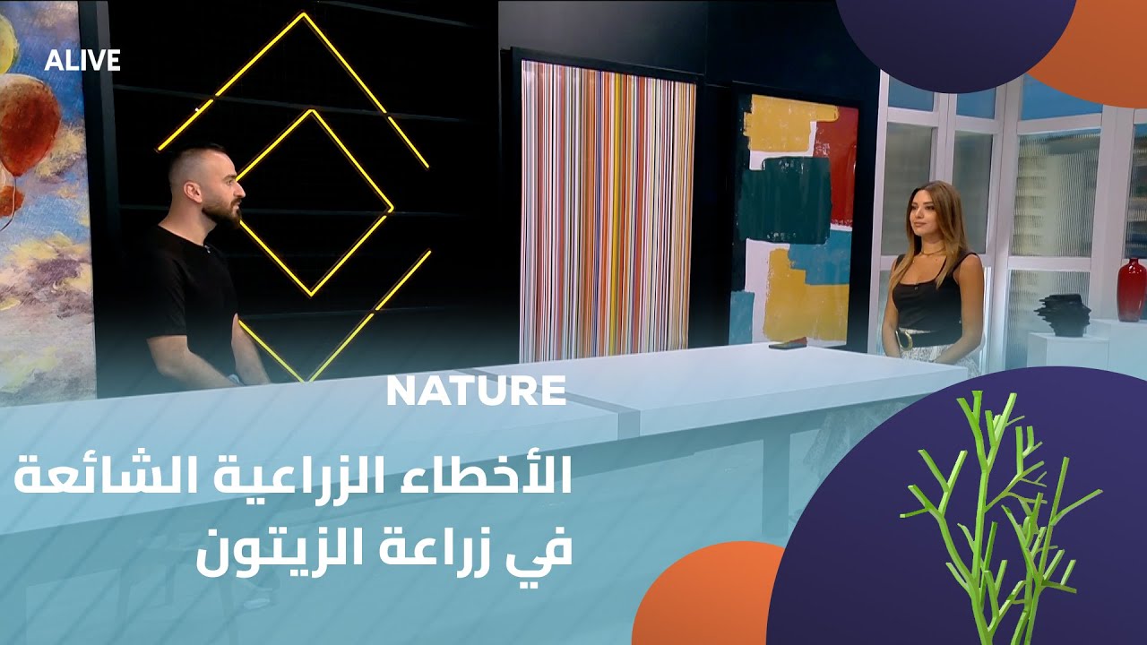 Nature - 11/09/2025 - الأخطاء الزراعية الشائعة في زراعة الزيتون