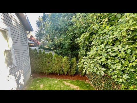 R0525 - Video 2 of 2