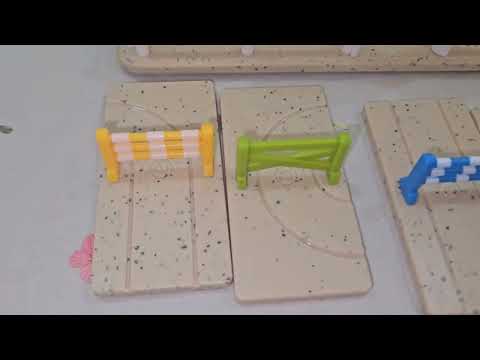 How to play Horse Academy of SMART GAMES from Unnati Library