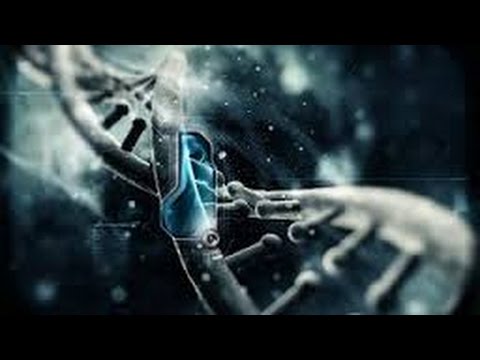 Universos paralelos ¿existe el multiverso    Documental