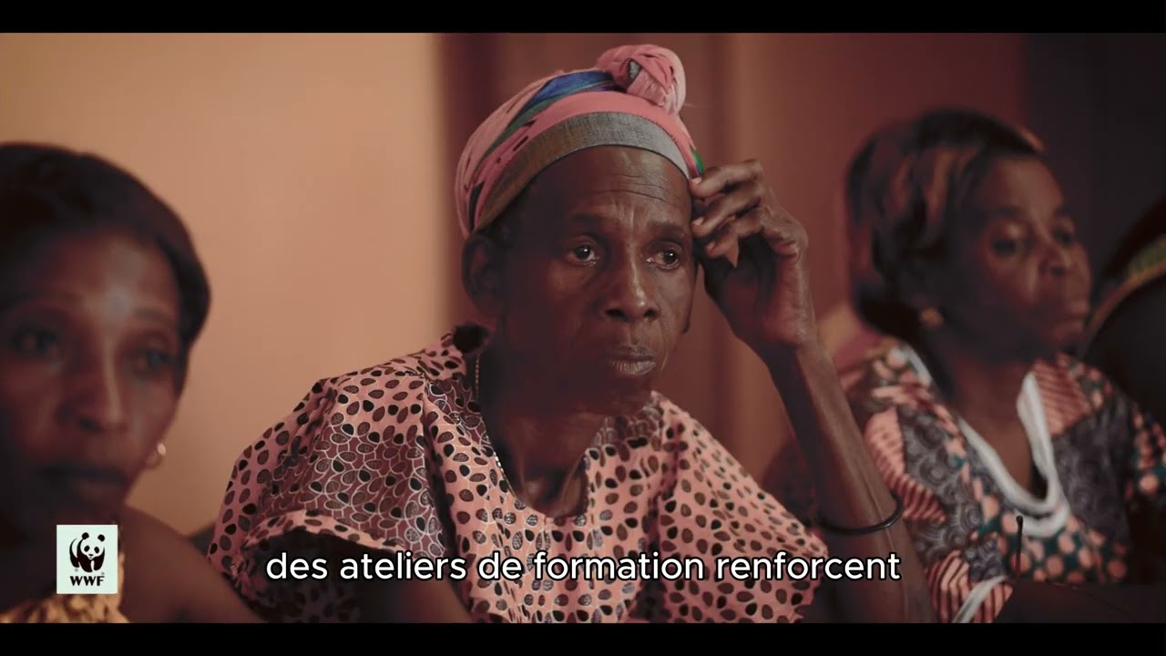 In Gabon...forest still speaks...  #WWF #Impact #gabon #africa #CIBEL