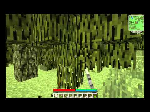 TerraFirmaCraft Dubstep Episodul 1