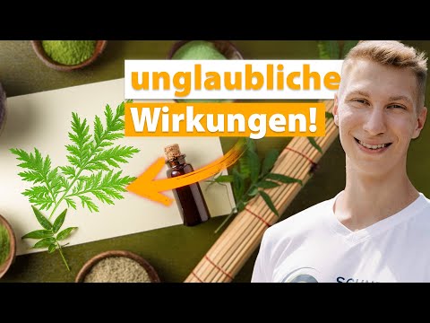 Artemisia Annua: Active ingredients, effects and uses (Everything you need to know)