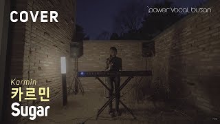 [카르민] Sugar - Karmin (cover by 허수정)[4k]