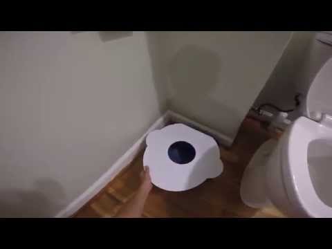 The Purrfect Potty,The BEST way to toilet train your cat! Step by Step