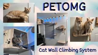 PETOMG Cat Wall Climbing System Furniture Assembly Install REVIEW