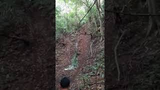 preview picture of video 'Trail adventure bali Tanjakan ayunan tanah putih desa galungan'