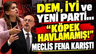 DEM, İYİ, Yeni ve AK Parti birbirine girdi: "Köpek Havlamamış!" Meclis Fena Karı