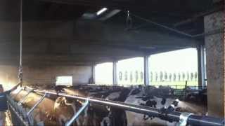 preview picture of video 'Arienti - Ventilatori per stalle con microirrigazione benessere animale'