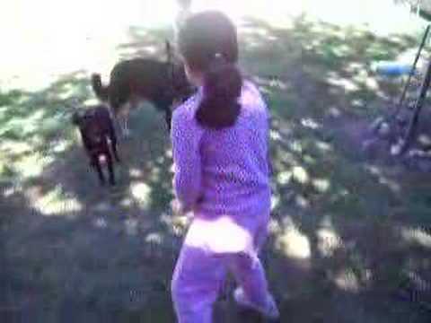 Marifer jugando en el patio con los perros 06