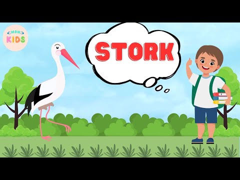 Stork Facts For Kids 😊 Learn All About Storks | MON Kids