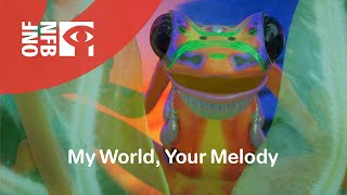 Hothouse 14 - My World, Your Melody