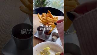 【Vlog】中国駐在妻の猫と過ごす休日🐈🍔 #vlog #駐在妻 #駐妻 #海外 #海外在住 #海外在住 #中国 #深圳 #china #shenzhen #猫 #cat #日常 #ナルト