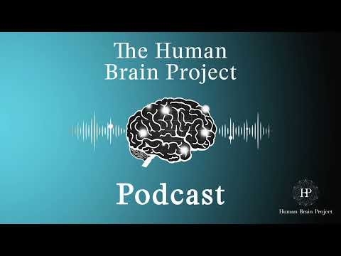 HBP Podcast Ep. 5 - Computers inspired by the brain: An Interview with Steve Furber