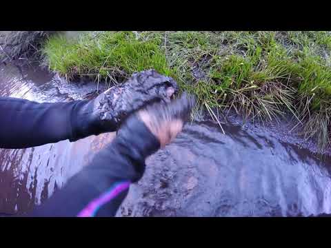 The Wollangambe Story