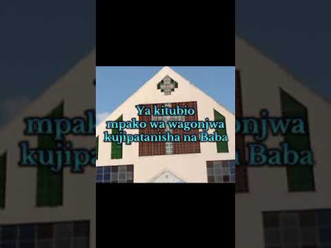 Mkatoliki Lyrics- Kwaya Mt Secilia Makuburi