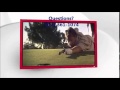 Dish Network Austin TX 512 361 1074 Satellite TV