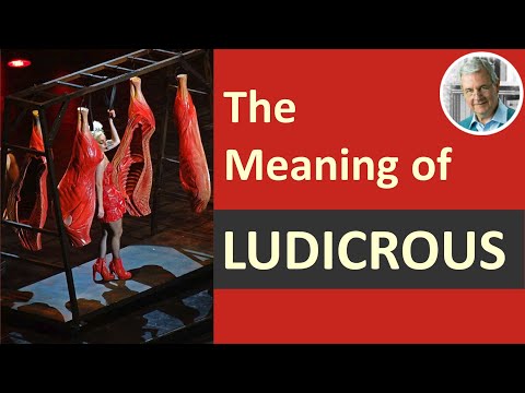 What is the Definition of LUDICROUS? (Illustrated Example)