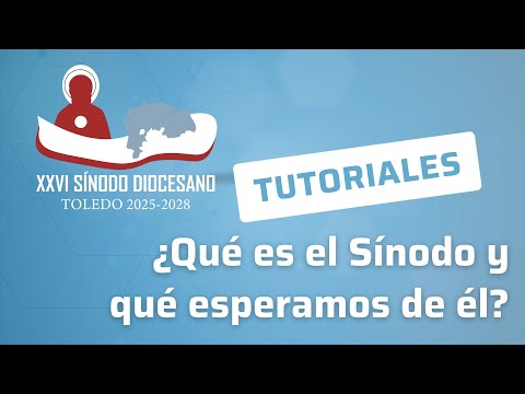 Qué es el Sínodo y que esperamos de él