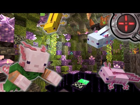 Hermitcraft Season 8 - The Axolotl Cave Mission #4