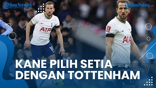 Diincar Manchester United, Harry Kane Pilih Setia dengan Tottenham & Segera Perpanjang Kontrak
